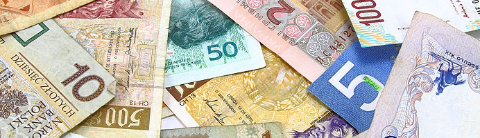 foreign currency